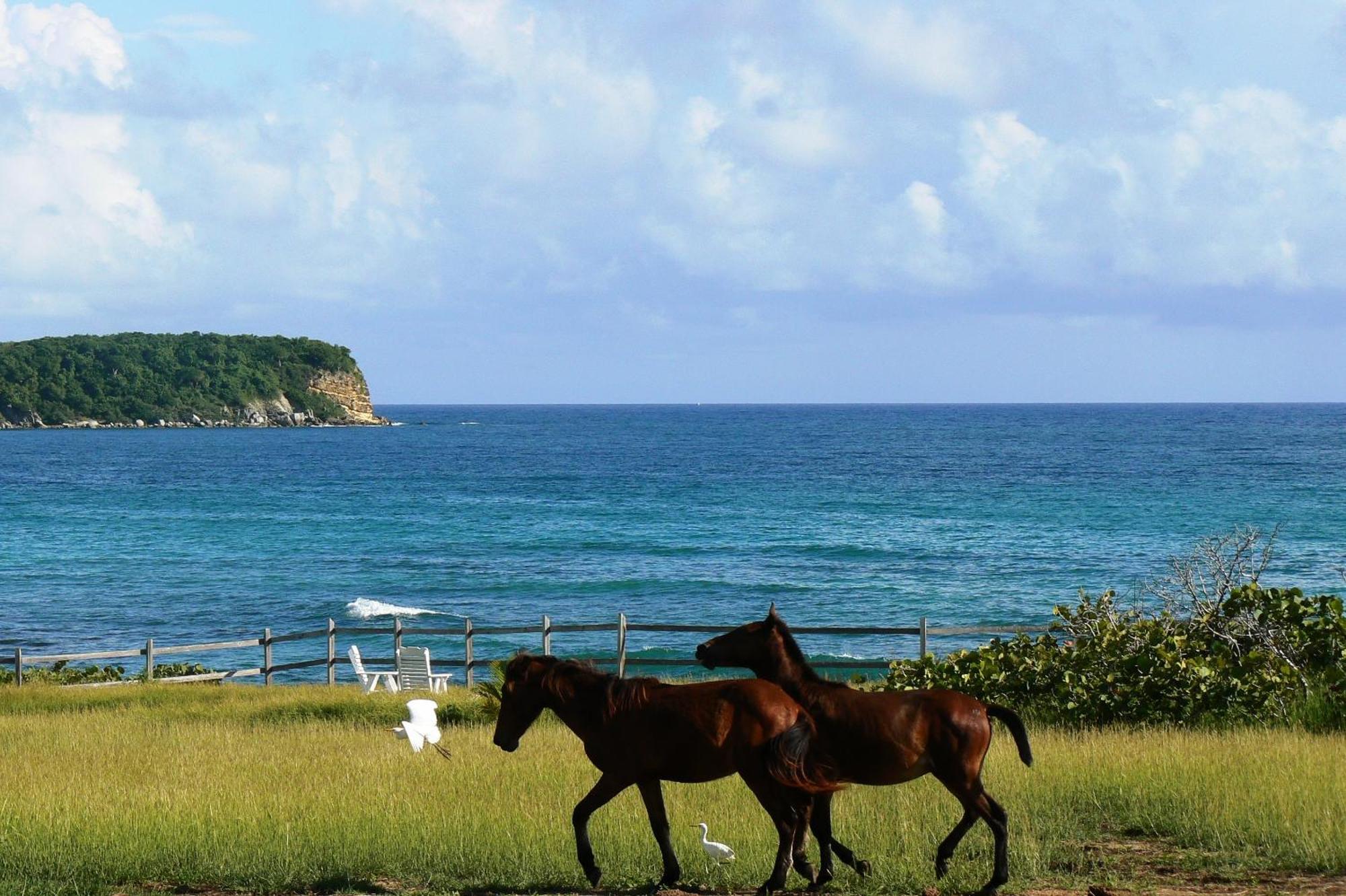 Blue Horizon Boutique Resort (Adults Only) Вьекес Экстерьер фото
