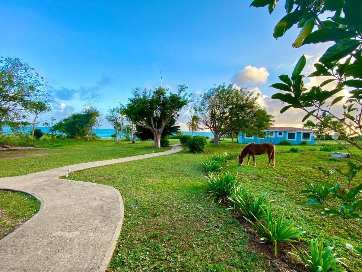 Blue Horizon Boutique Resort (Adults Only) Вьекес Экстерьер фото