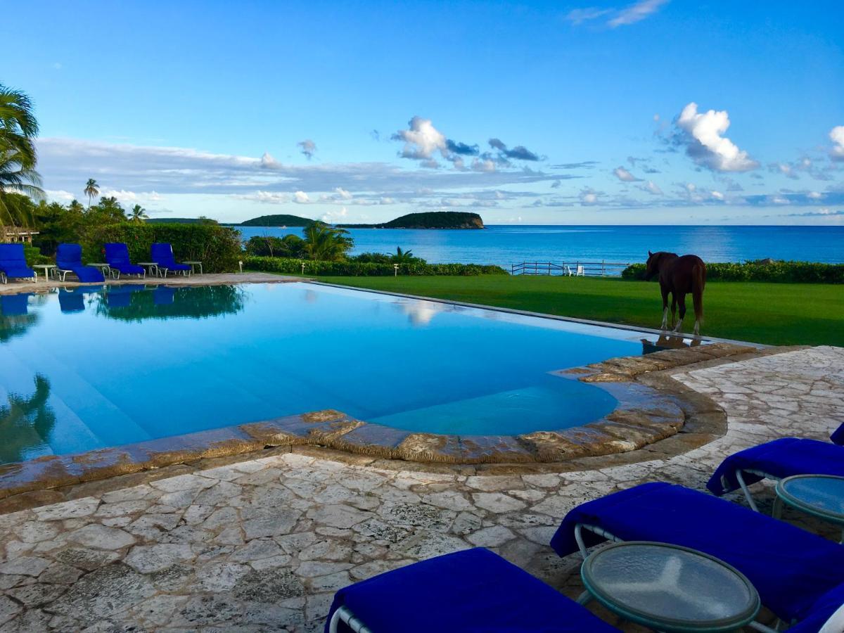 Blue Horizon Boutique Resort (Adults Only) Вьекес Экстерьер фото
